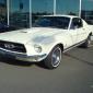 mustang_syning