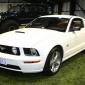 bilasyning_2008