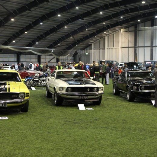 crop-256_img_8821