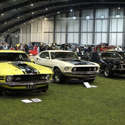 crop-258_img_8823