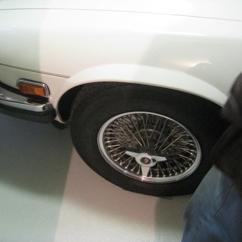 crop-img_0236