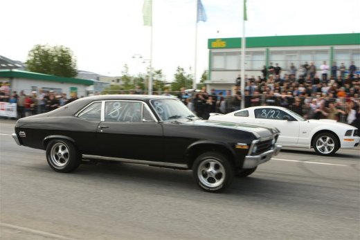 bd_09_338toti9827