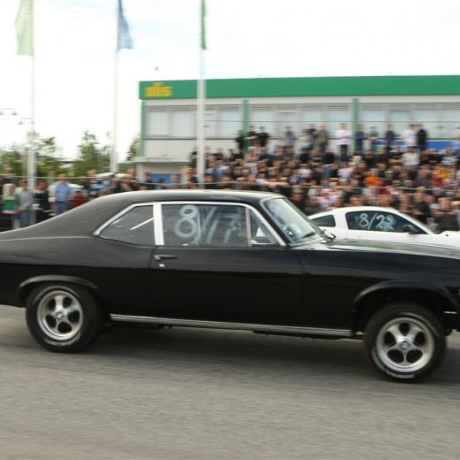 crop-bd_09_339toti9828