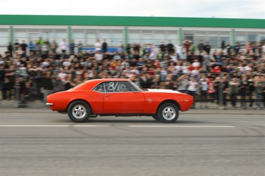 bd_09_333toti9822