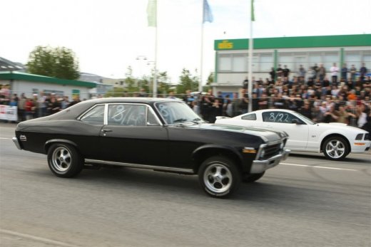 bd_09_338toti9827