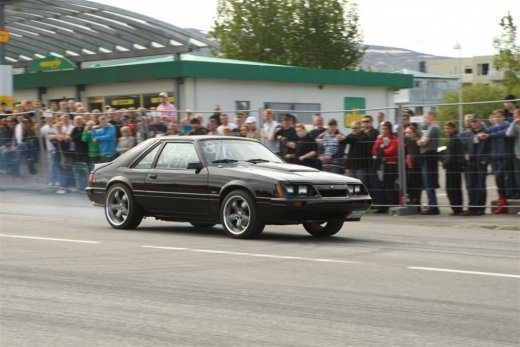 bd_09_343toti9833