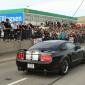 bd_09_410toti9928