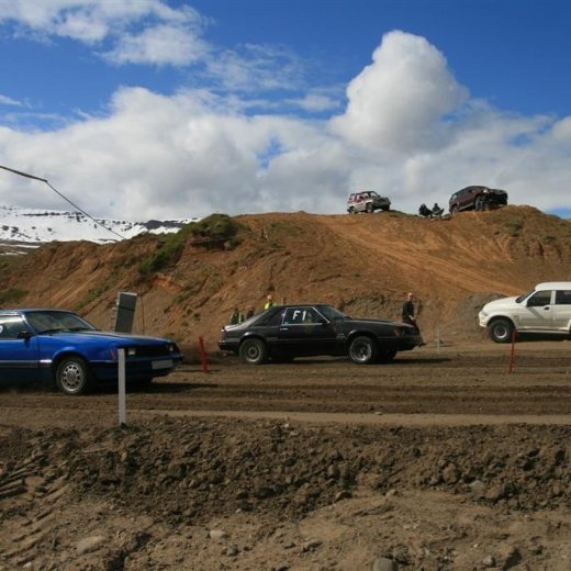 crop-sjallasandur_31._mai_2009_501__large_