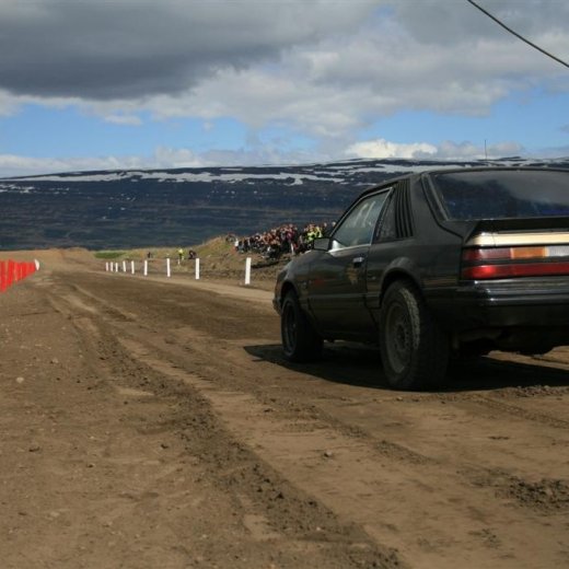 crop-sjallasandur_31._mai_2009_576__large_
