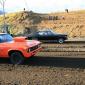crop-img_9022__large_