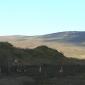 crop-img_9116__large_