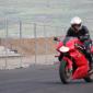 crop-img_1731__large_