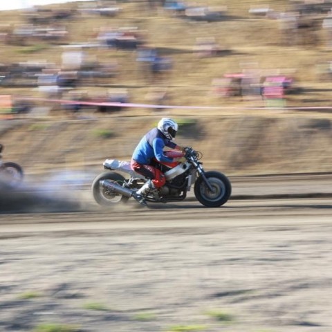 crop-img_8295__large_
