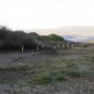 crop-img_8491__large_