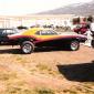 crop-stebbi82_005__large_