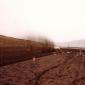 sandscan_026__large_