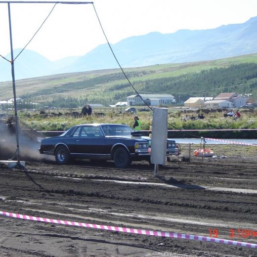 crop-3_d_2006__6_