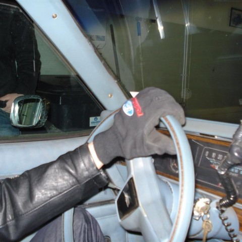 crop-1_a_2008__5_