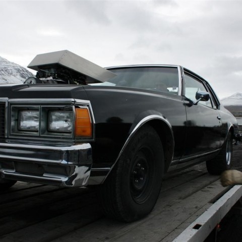 crop-2_c_2007__3_