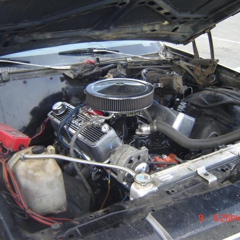crop-3_a_2006__6_