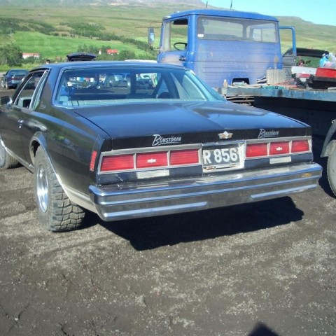 crop-3_c_2006__1_