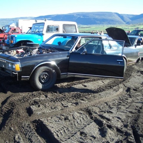 crop-4_2005__2_