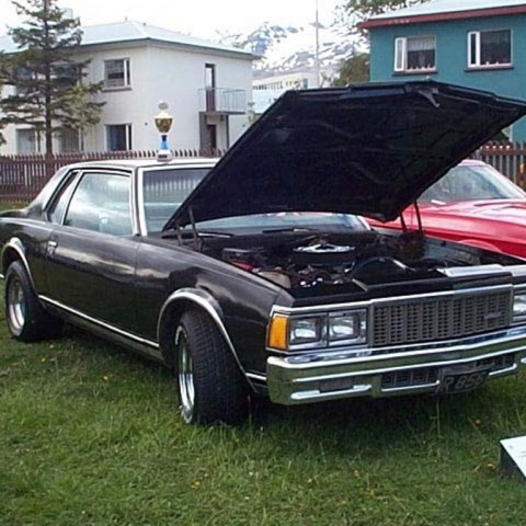crop-5_2003__1_