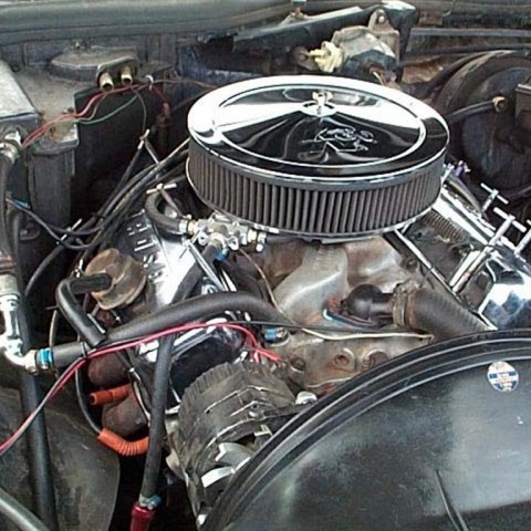 crop-5_2003__2_