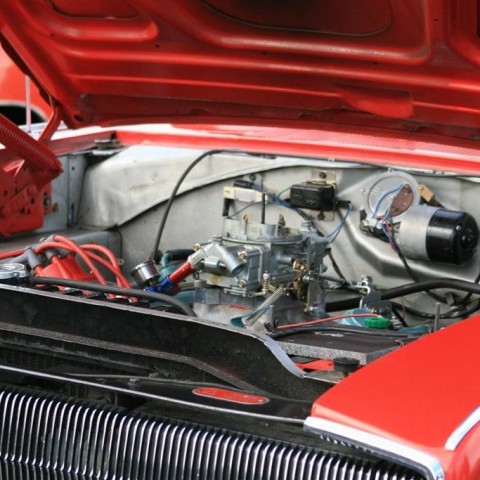 crop-3__8_