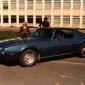 crop-firebird