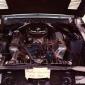 crop-shelby.428