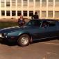 firebird