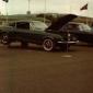 shelby