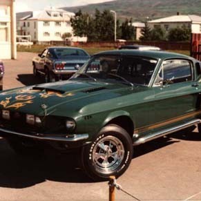 crop-shelby1