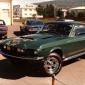 shelby1