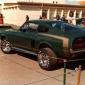 shelby2