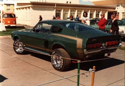 shelby2