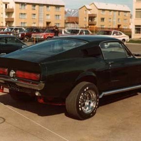 crop-shelby2