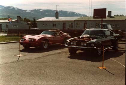 shelby4