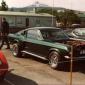 shelby1