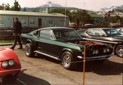 shelby1