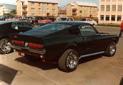shelby2