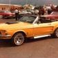 crop-67mustang