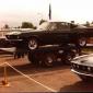 crop-shelby1