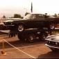 crop-shelby1