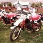 crop-s_ning_1979_012