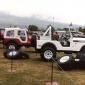 crop-17.06.1980_070__medium_