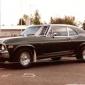 crop-17.06.1981_003__medium_
