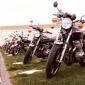17.06.1981_032__medium_