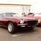 crop-17.06.1981_020__medium_